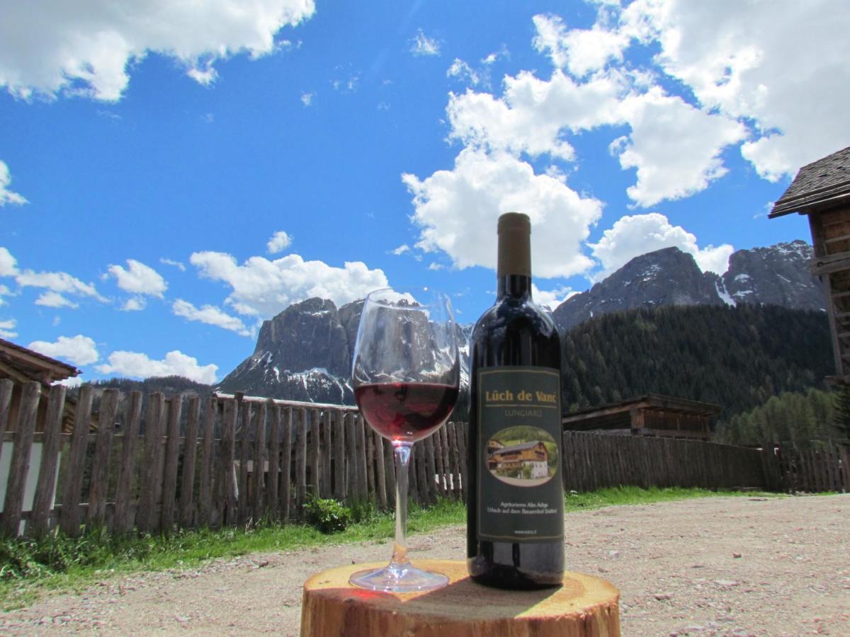 Agriturismo Luech De Vanc San Martino in Badia Bagian luar foto