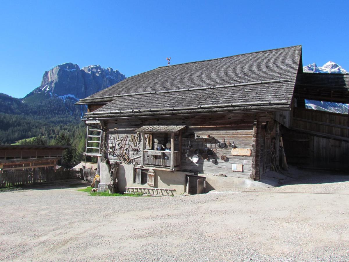 Agriturismo Luech De Vanc San Martino in Badia Bagian luar foto
