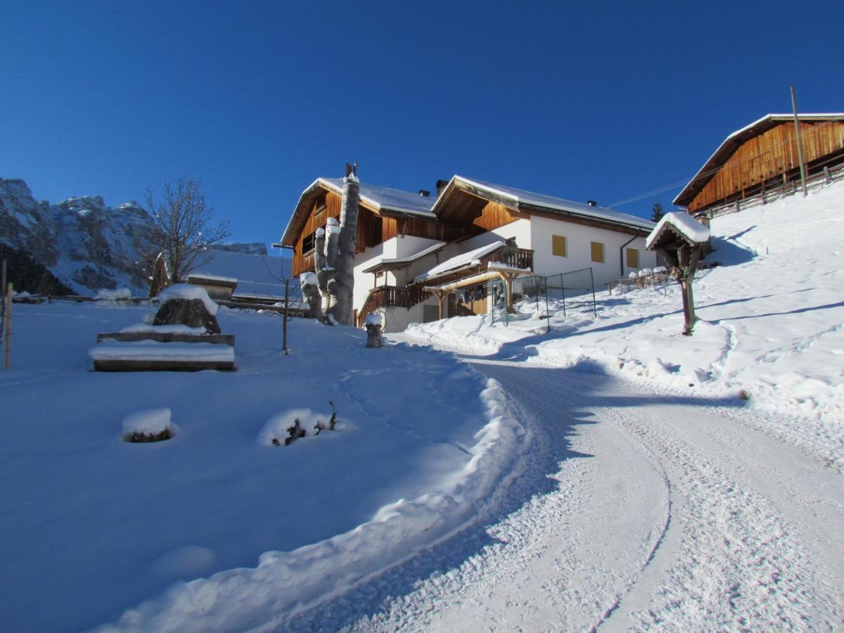 Agriturismo Luech De Vanc San Martino in Badia Bagian luar foto